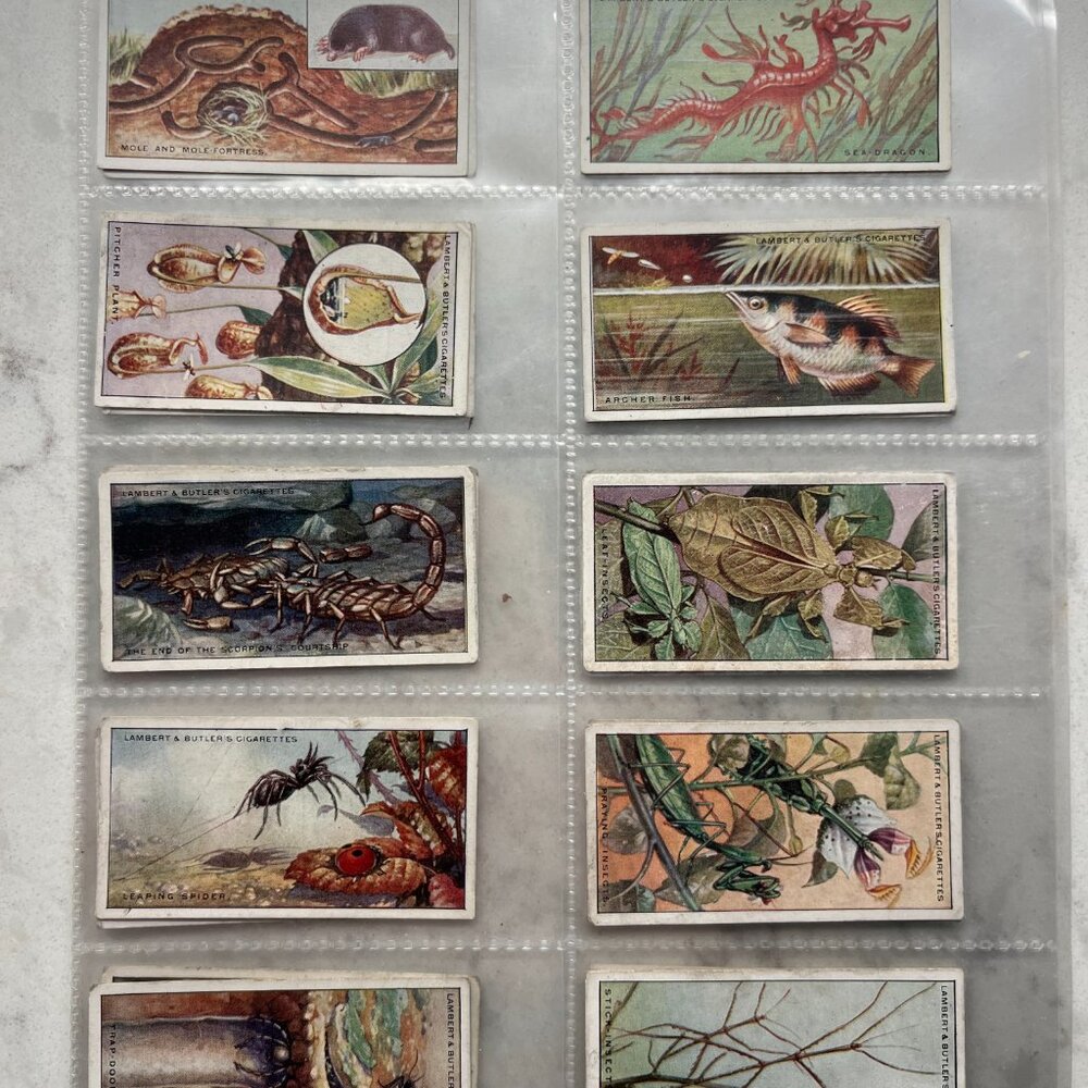 Vintage Tobacco Cards, 1924 Wonders of Nature, Lambert & Butler Pre World War 2